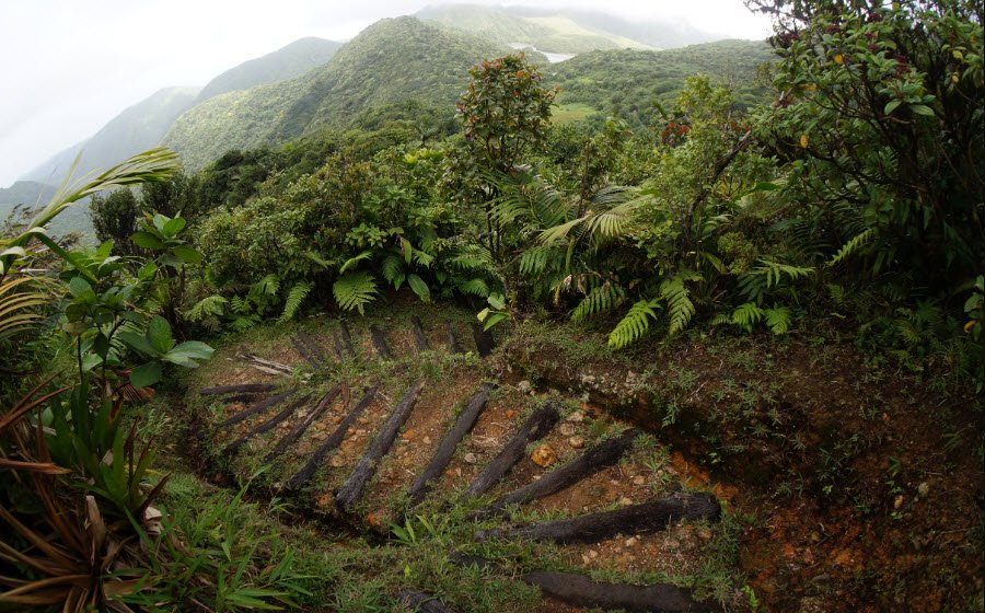 Morne Trois Pitons National Park, South-central Dominica, Dominica